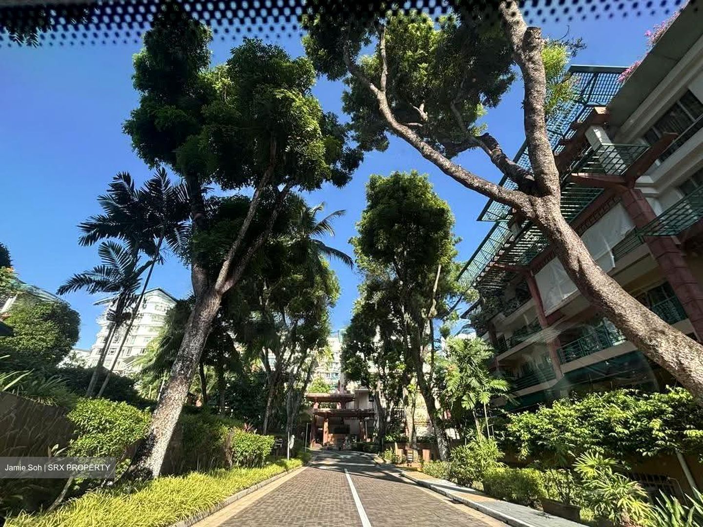 Maplewoods (D21), Condominium #621223781